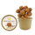 Bio Snoepbeker 145 gram Chocolade Truffels (incl. dekselsticker) Standaard