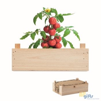 Afbeelding van relatiegeschenk:Tomatenkweekset  houten kratje