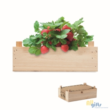Afbeelding van relatiegeschenk:Aardbeienpakket in houten krat