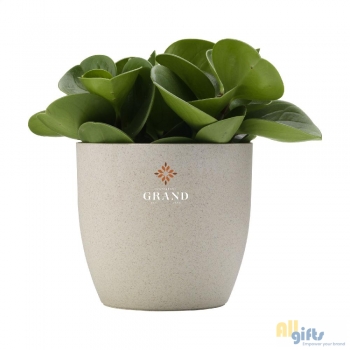 Afbeelding van relatiegeschenk:Vibers™ Flowerpot bloempot